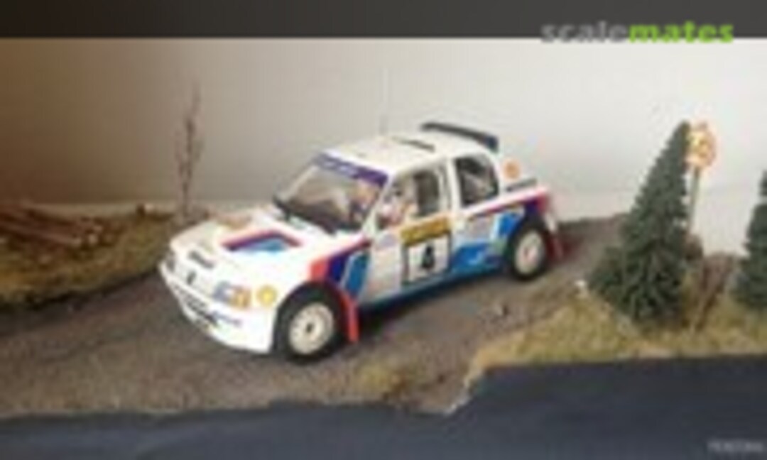 Peugeot 205 Turbo 16 1:24