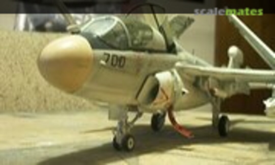 Grumman EA-6B Prowler 1:48