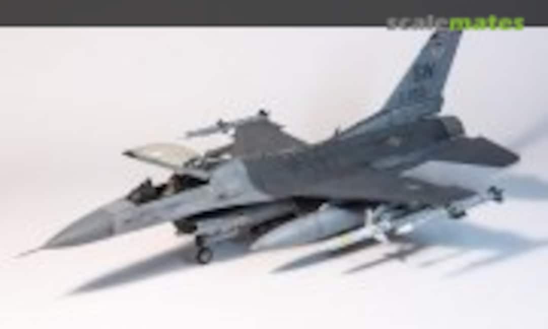 Lockheed Martin F-16CJ Fighting Falcon 1:48