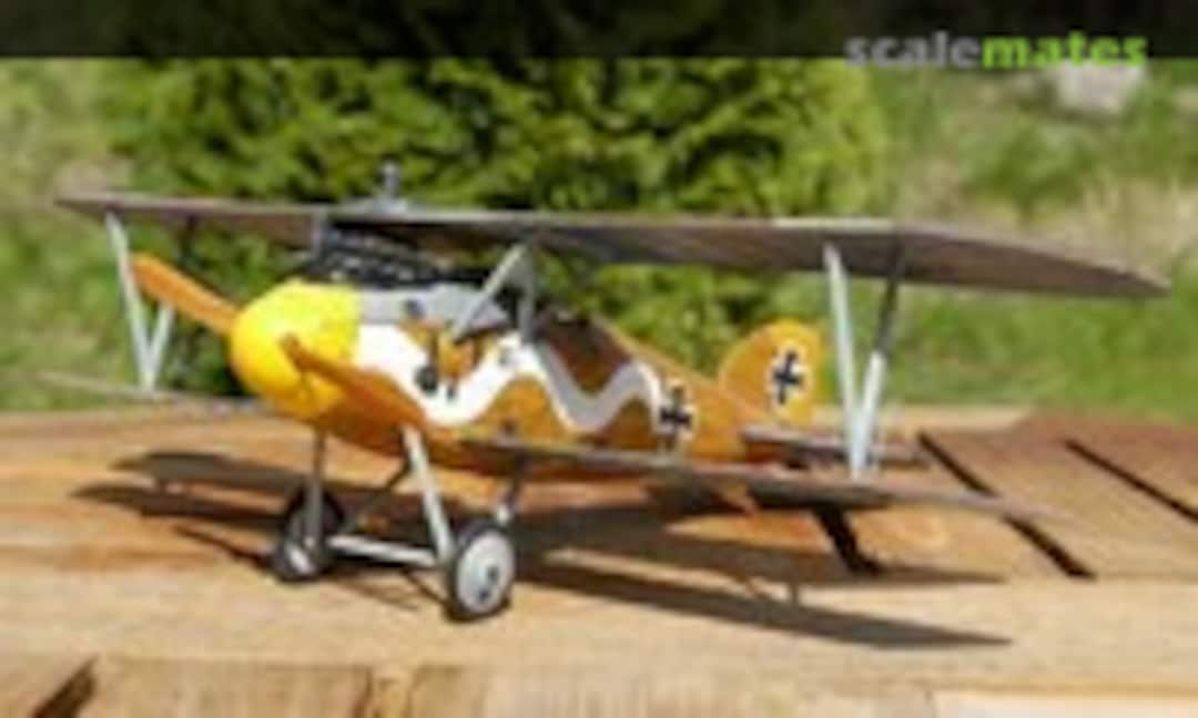 Albatros D.III 1:48