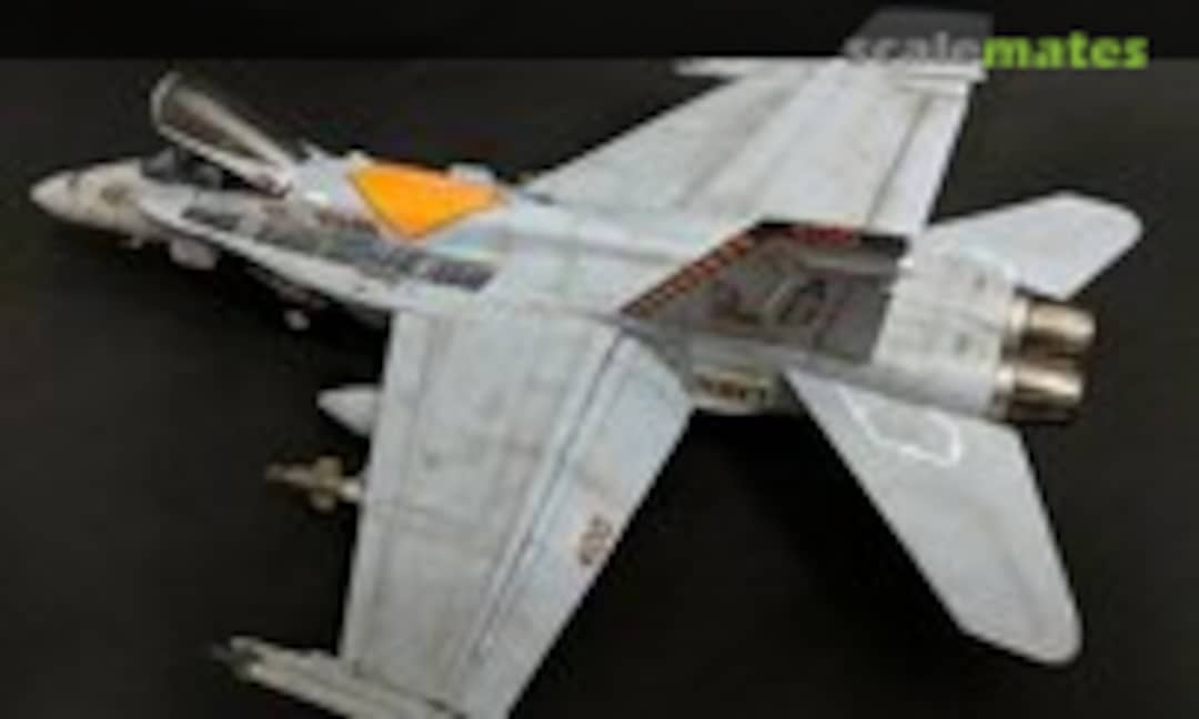 McDonnell Douglas F/A-18C Hornet 1:48