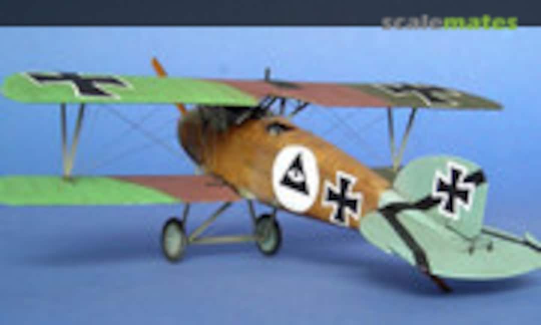 Albatros D.III 1:48
