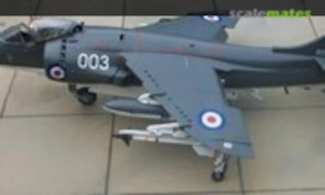 Hawker Sea Harrier FRS.1 1:48
