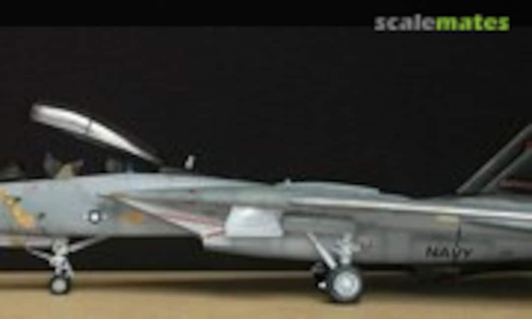 Grumman F-14D Tomcat 1:48