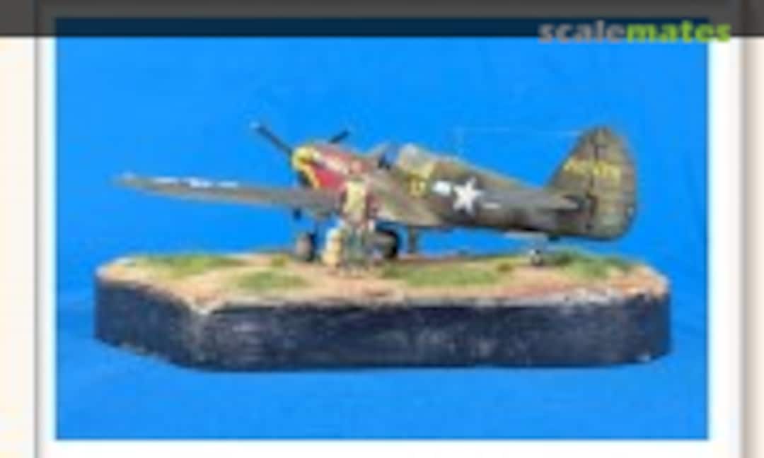 Curtiss P-40N Warhawk 1:48