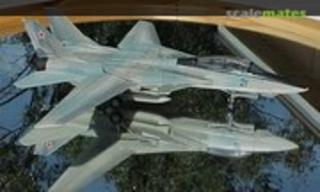 Grumman F-14D Tomcat 1:72