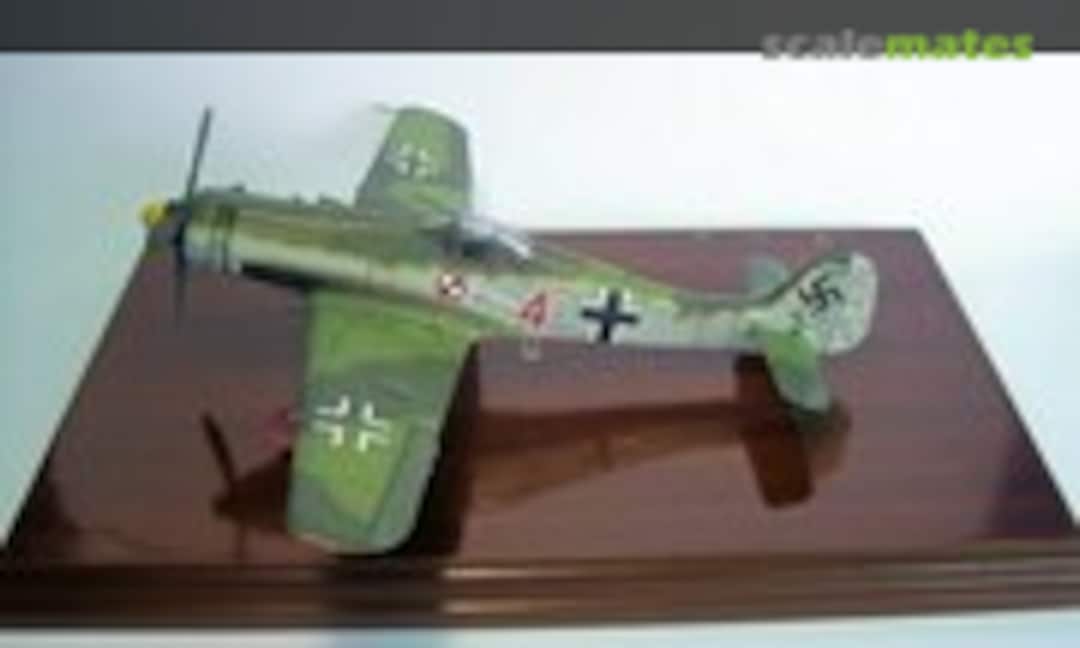 Focke-Wulf Fw 190D-11 1:48