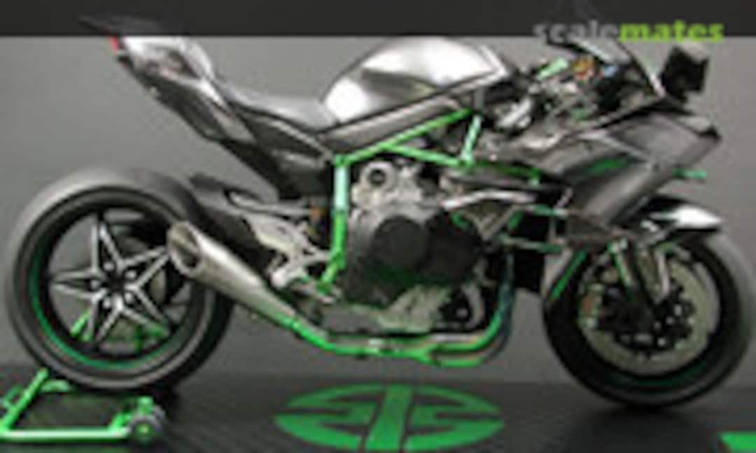 Kawasaki Ninja H2R 1:12