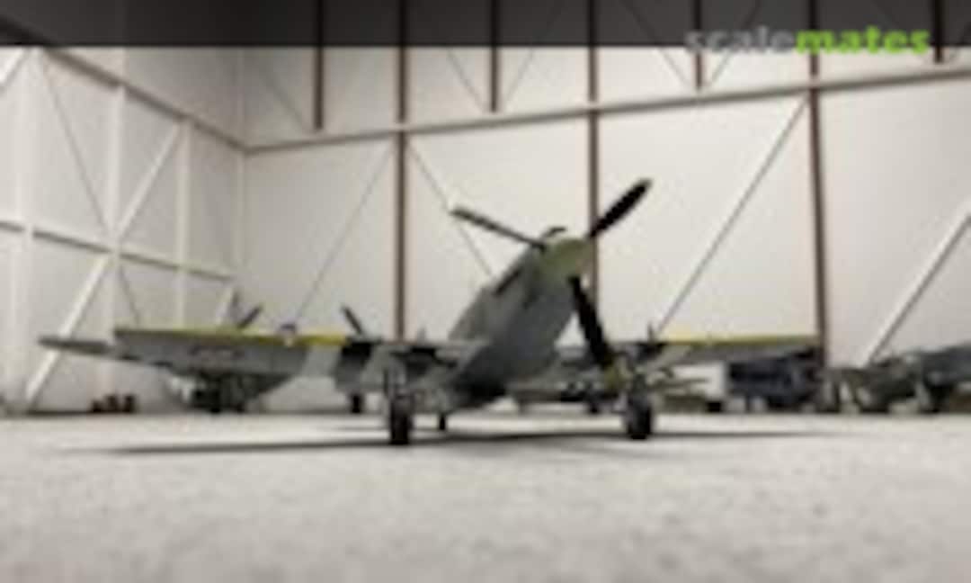 Mustang F-6B (Converted to Mk.1) 1:48