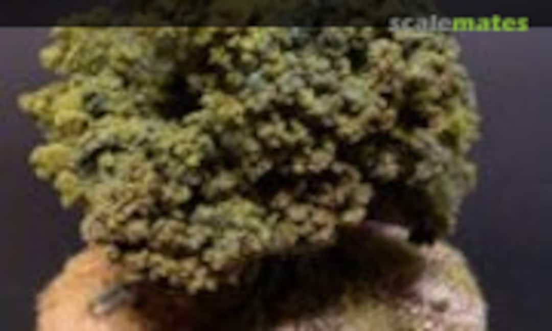 The Oak / Die Eiche No