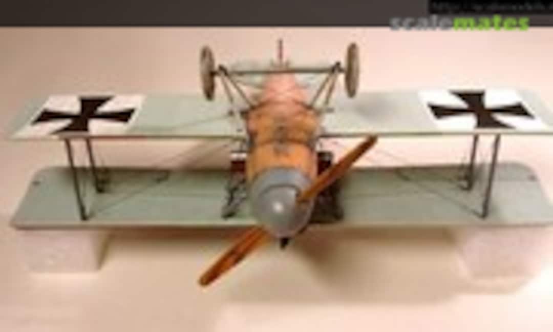 Albatros D.II 1:48