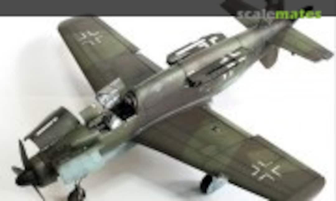 Dornier Do 335 1:32