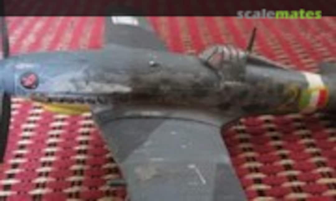 Fiat G.55 Centauro 1:48