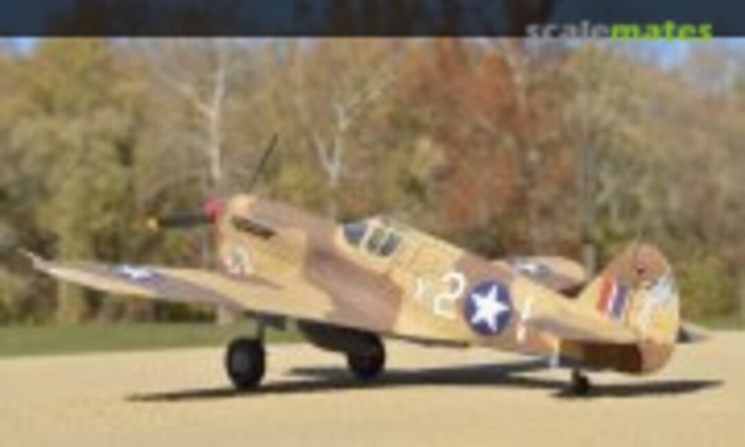 Curtiss P-40F Warhawk 1:72