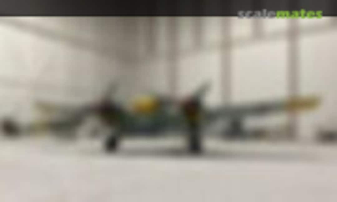 Henschel Hs 129B 1:48