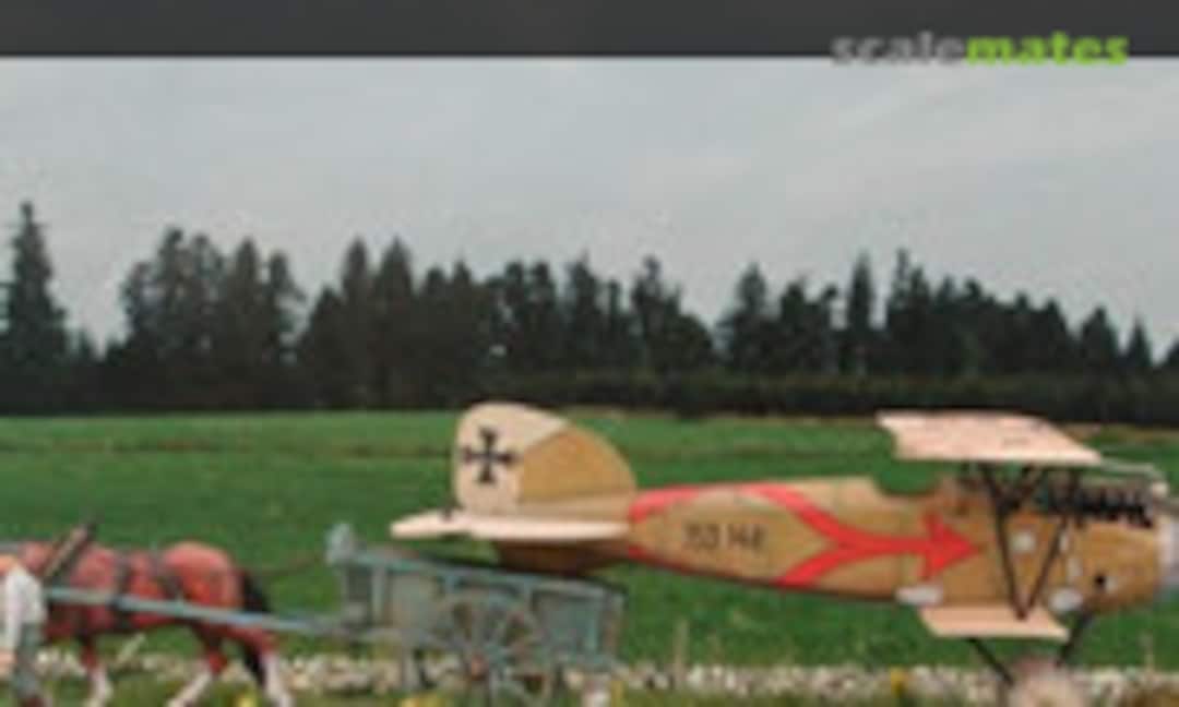Albatros D.III 1:48