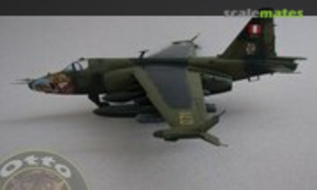 Sukhoi Su-25A Frogfoot 1:48