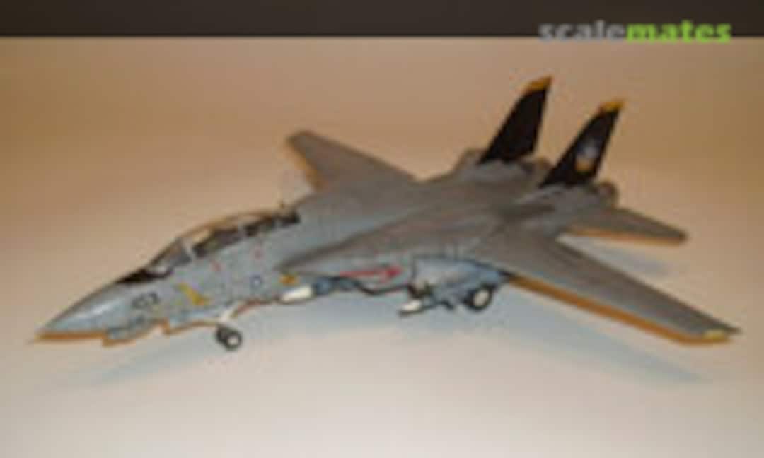 Grumman F-14D Tomcat 1:72