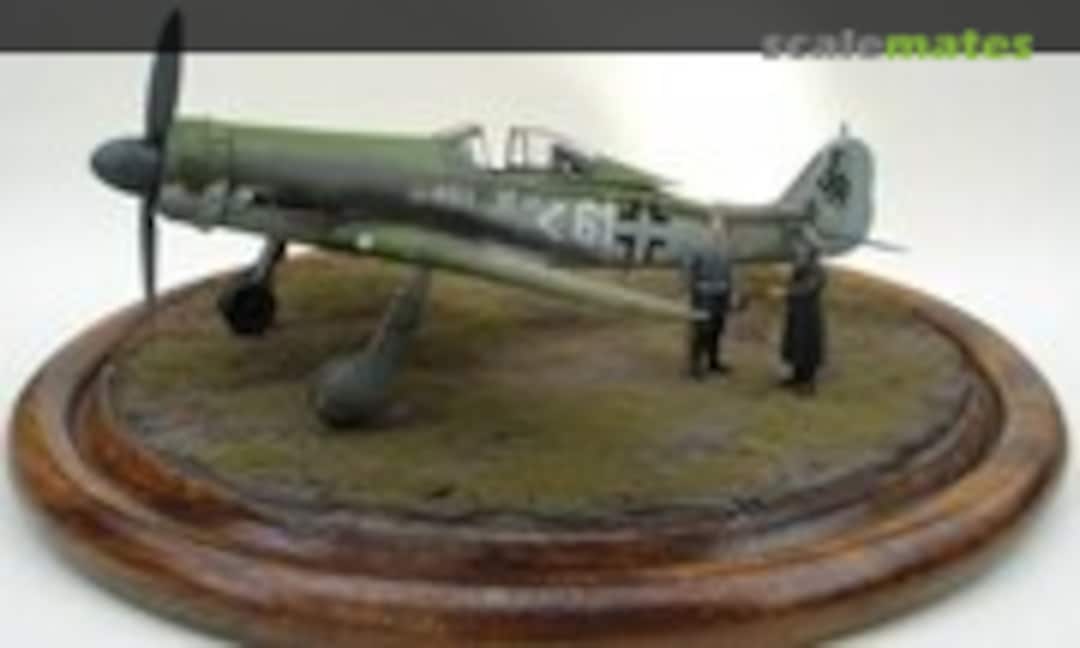 Focke-Wulf Fw 190D-11 1:48