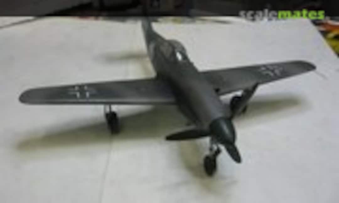 Messerschmitt Me 309 1:48