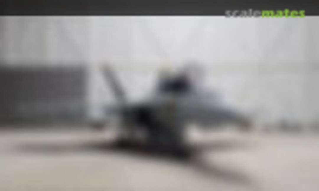 Boeing F/A-18F Super Hornet 1:48