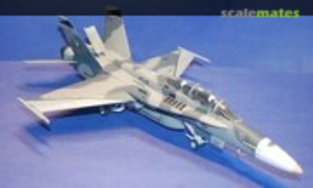 McDonnell Douglas F-18B Hornet 1:48