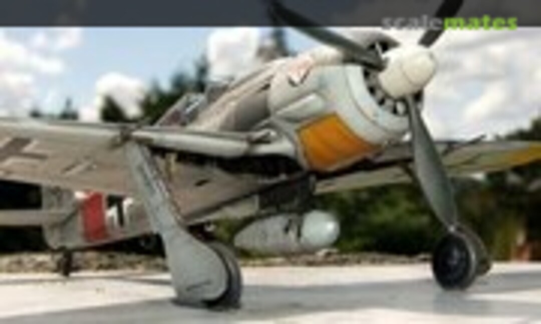 Focke-Wulf Fw 190A-8 1:48