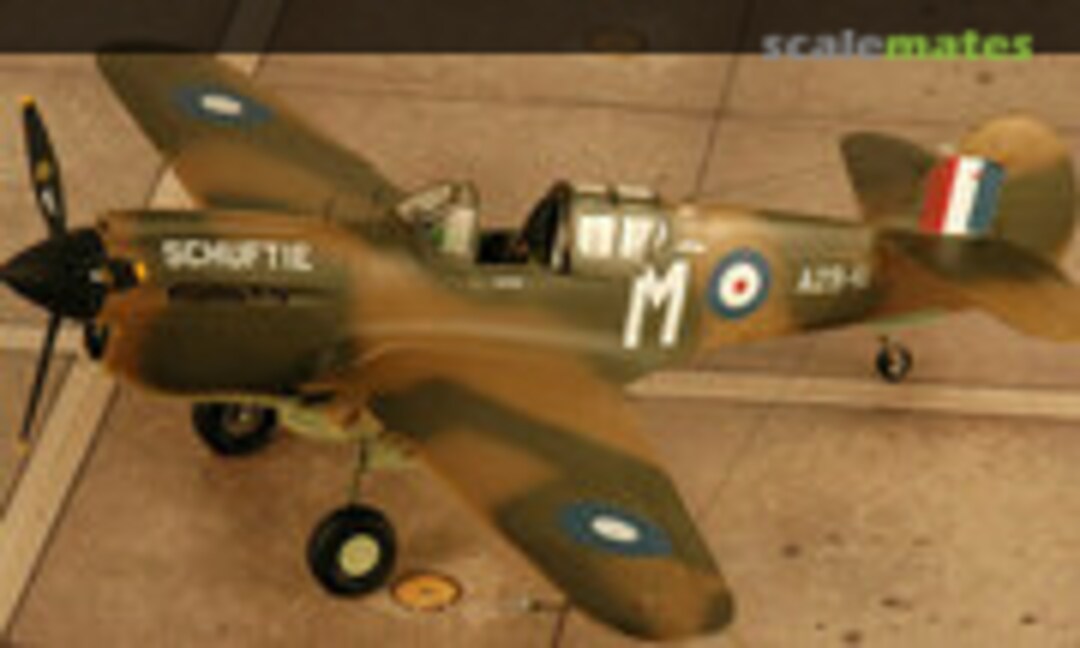 Curtiss P-40E Warhawk 1:48