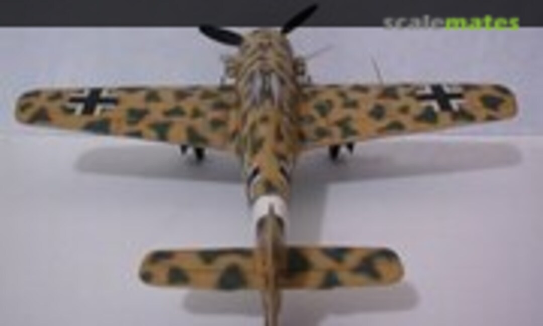Focke-Wulf Fw 190A-8 1:48