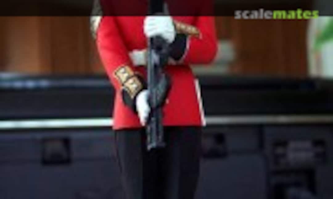 Coldstream Colour Sergeant 120mm