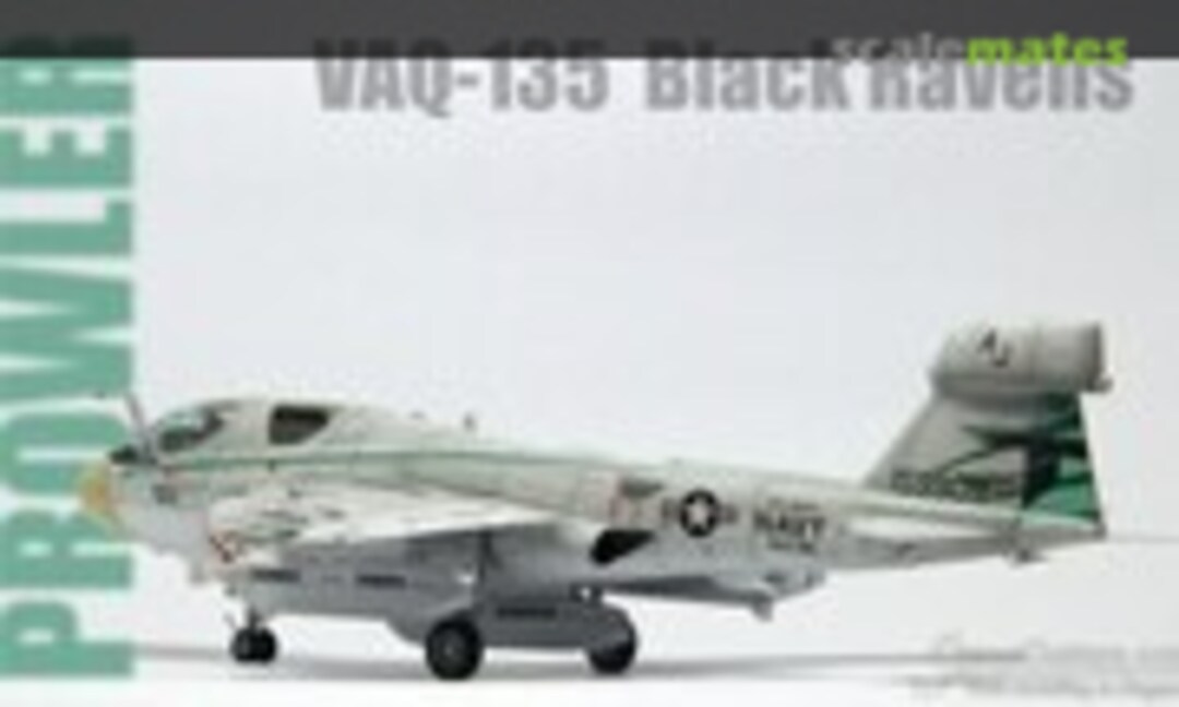 Grumman EA-6B Prowler 1:72