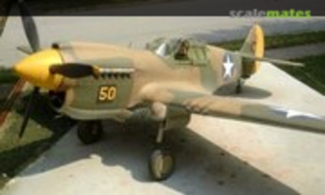 Curtiss P-40E Warhawk 1:48