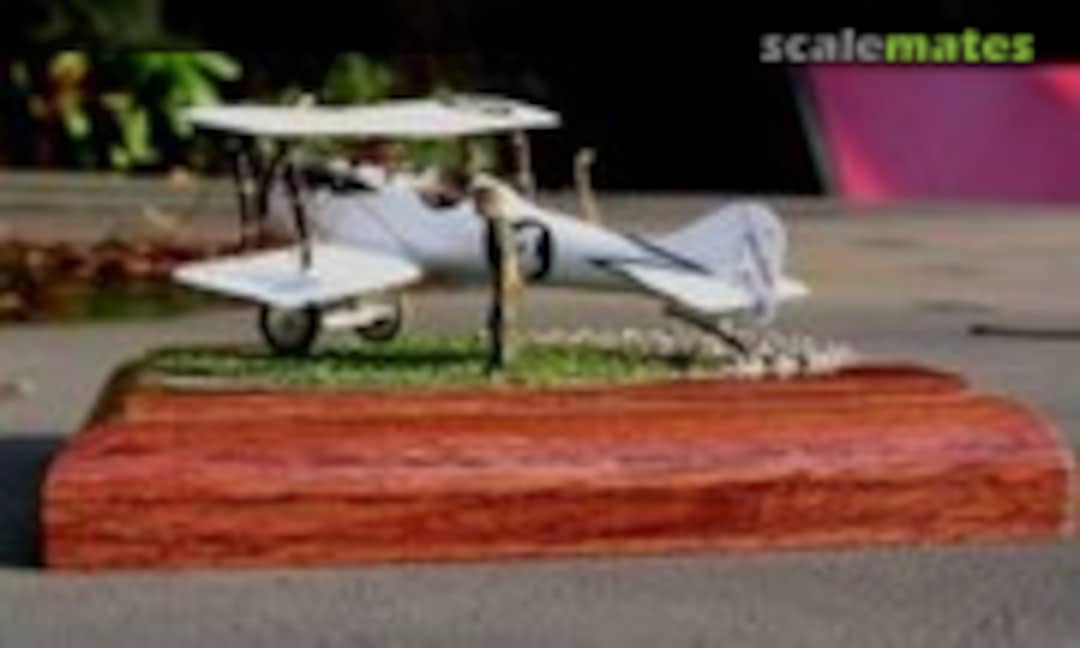 Nieuport-Delage NiD 29V 1:72