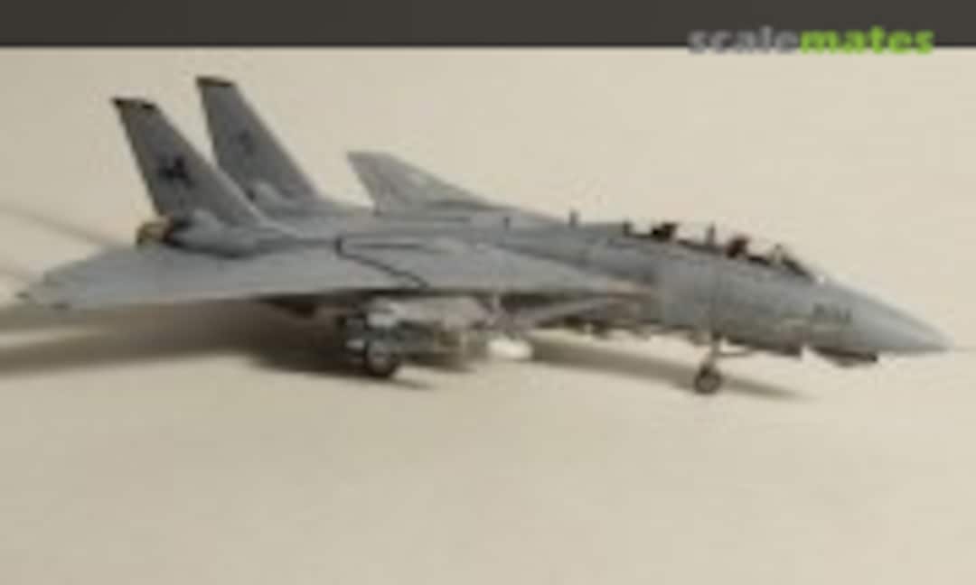 Grumman F-14D Tomcat 1:144