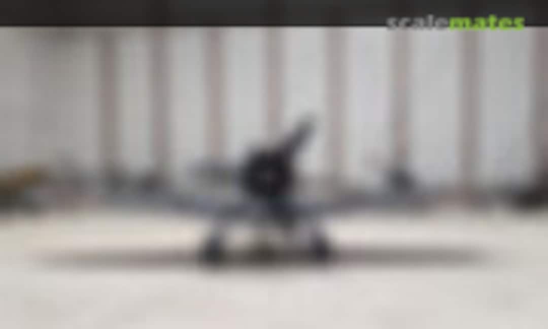 Curtiss Hawk 75 1:48