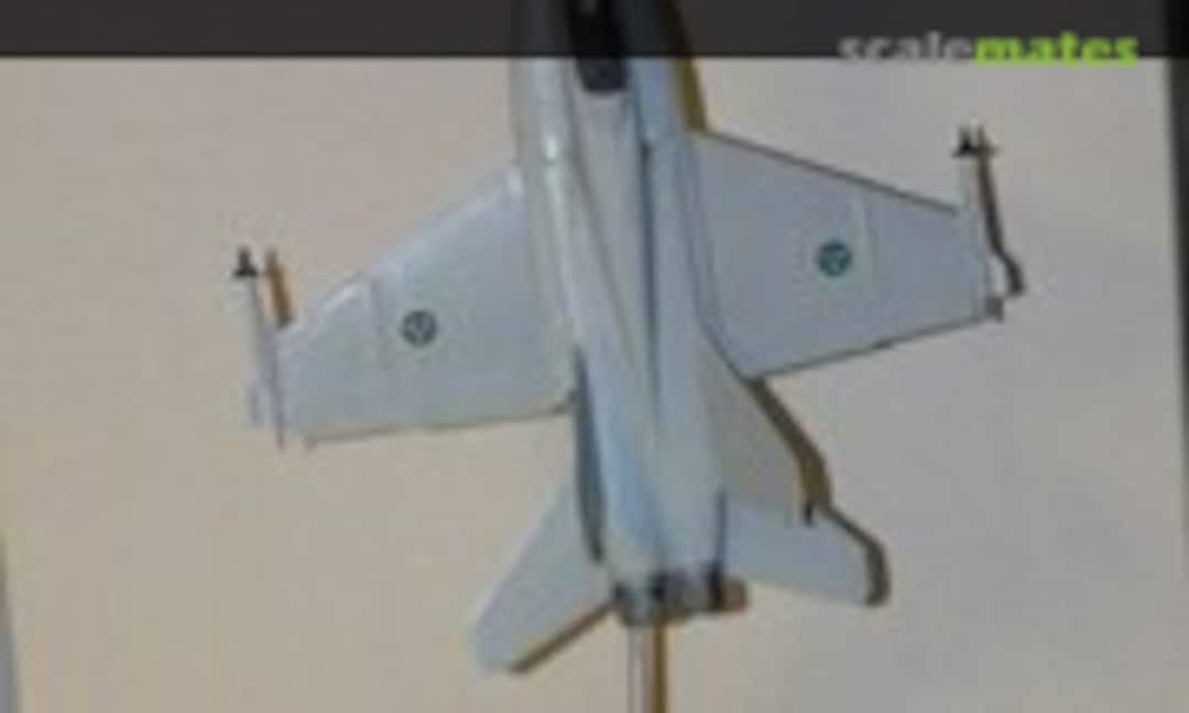 McDonnell Douglas F/A-18B Hornet 1:72