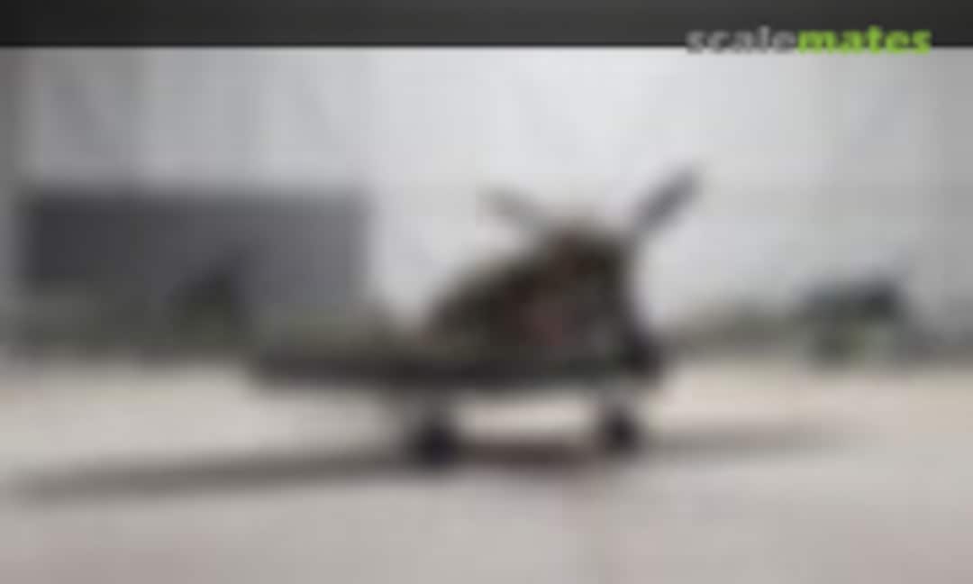 P-40C Tiger Shark 1:48