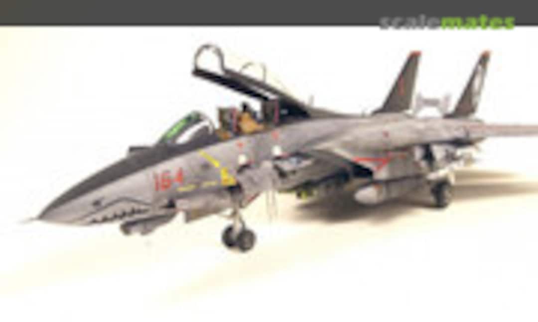 Grumman F-14D Super Tomcat 1:48