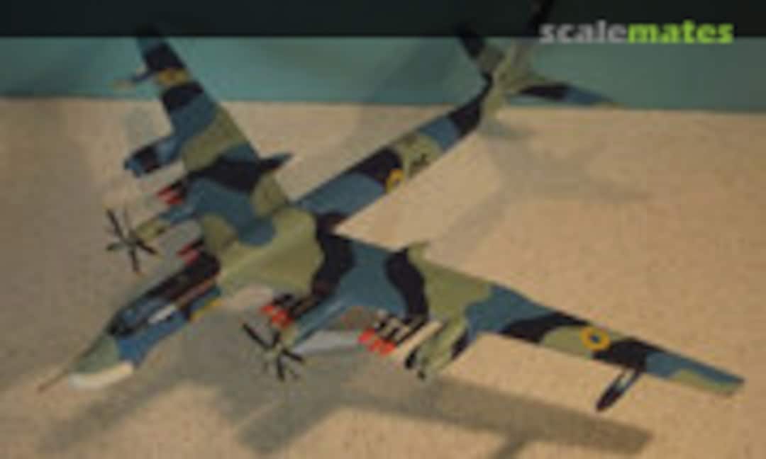 Tupolev Tu-95 Bear 1:100