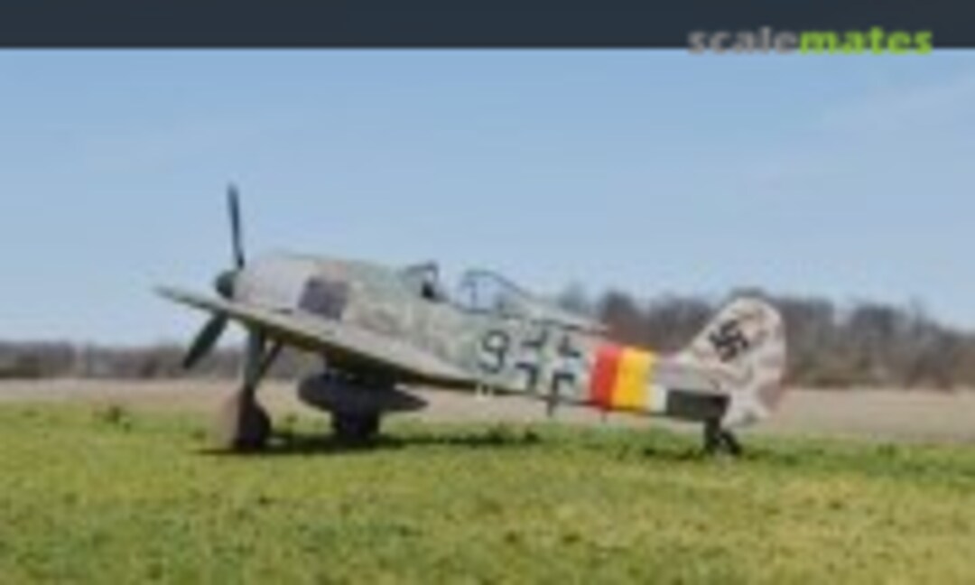 Focke-Wulf Fw 190A-8 1:72