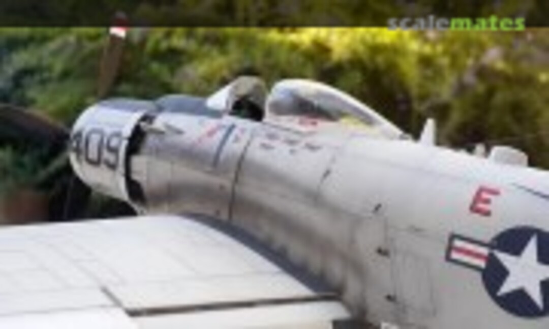 Douglas A-1H Skyraider VA-176 1:48