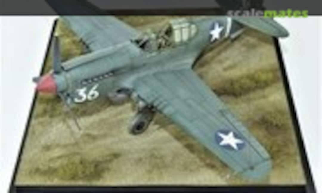 Curtiss P-40E Warhawk 1:48