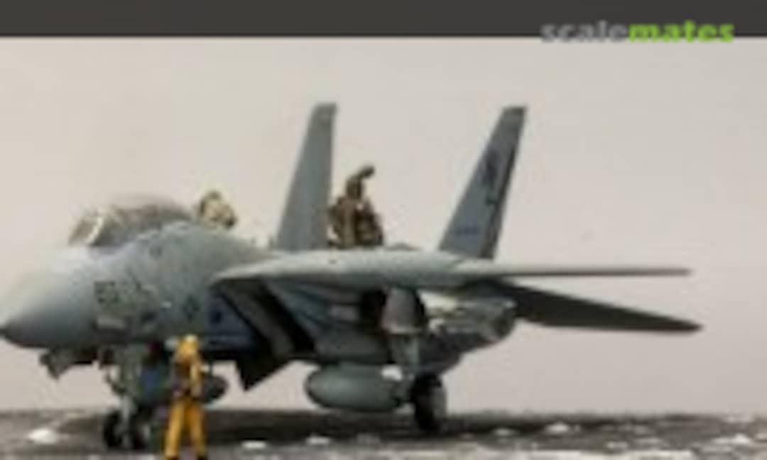Grumman F-14A Tomcat 1:72