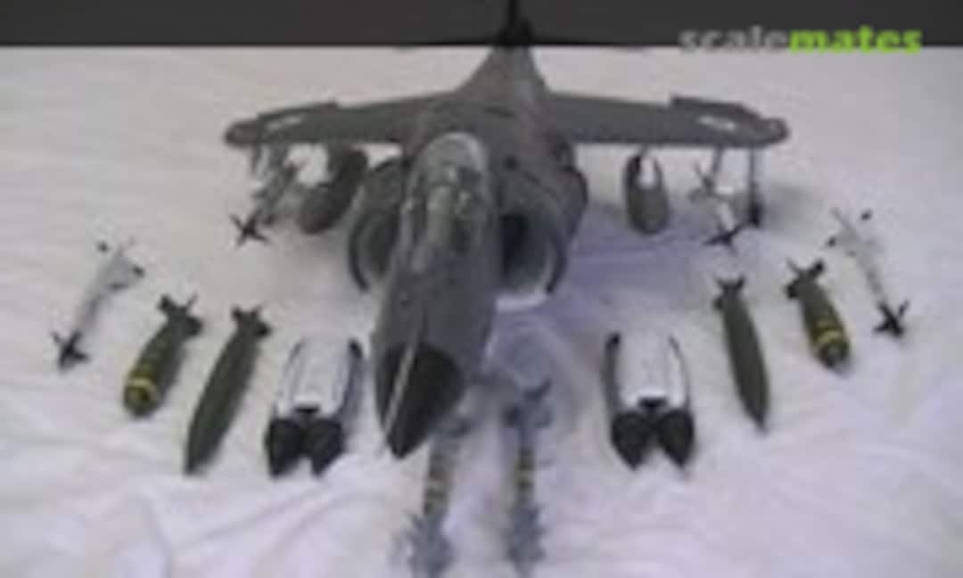 Hawker Sea Harrier FRS.1 1:24