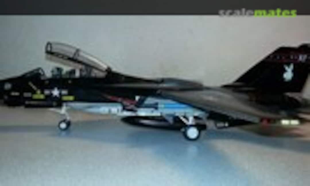 Grumman F-14A Tomcat 1:48