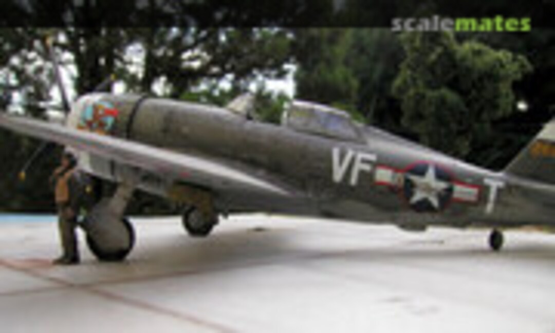 Republic P-47D Thunderbolt 1:48