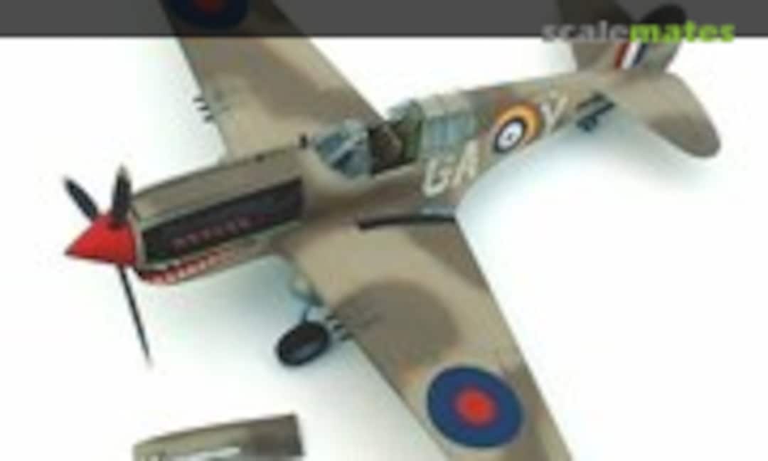 Curtiss P-40 Warhawk 1:48