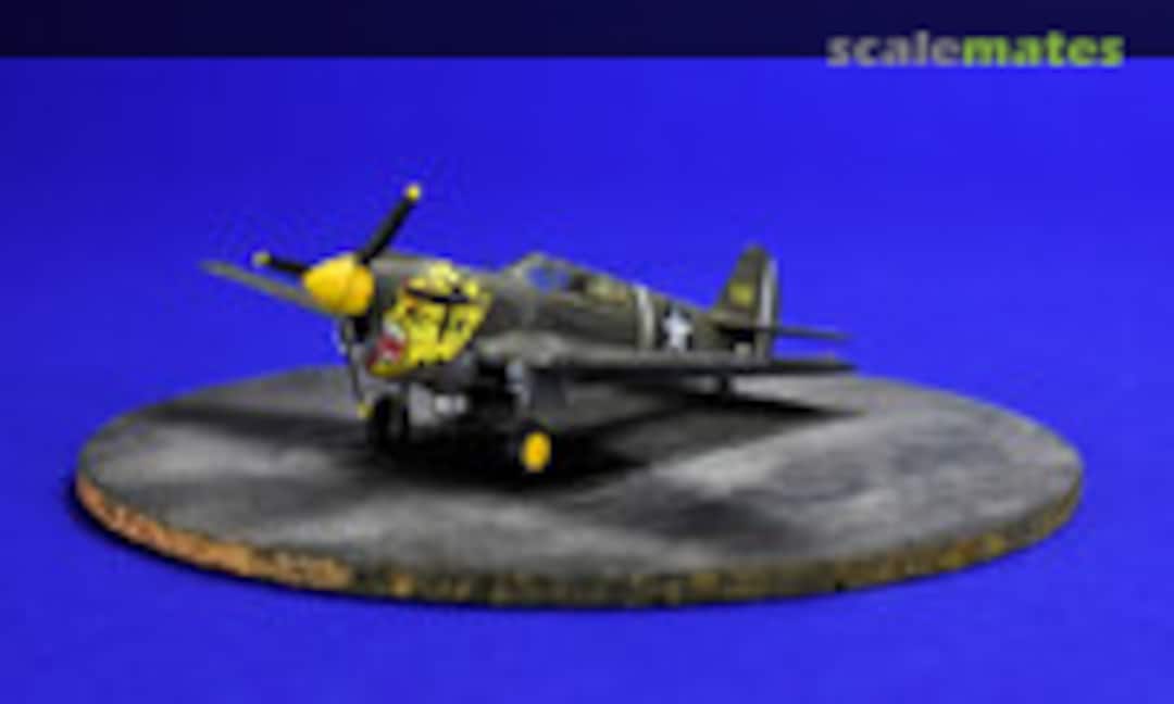 Curtiss P-40E Warhawk 1:144