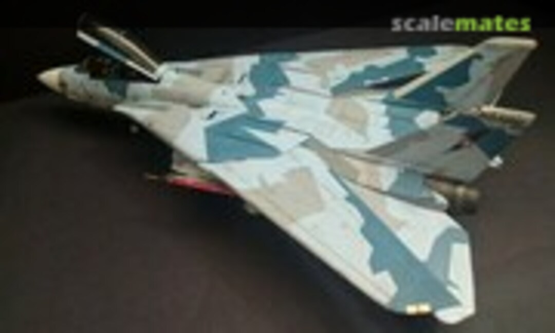 Grumman F-14A Tomcat 1:48