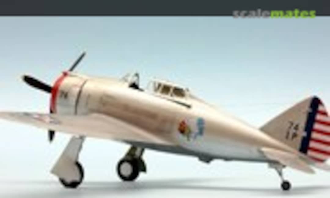Republic P-43 Lancer 1:48